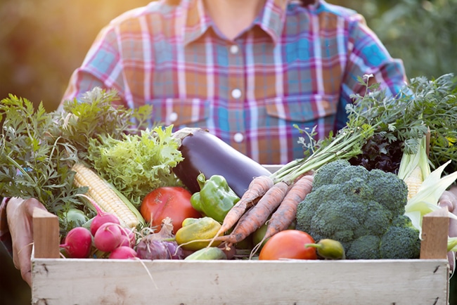 légumes du jardin de saison