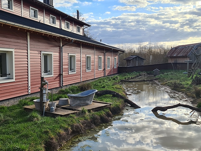 parc animalier sainte croix dates ouverture