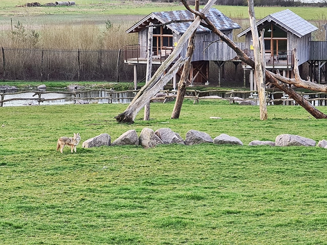 parc sainte croix logdes rivière des ours