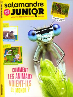 La salamandre junior magazine