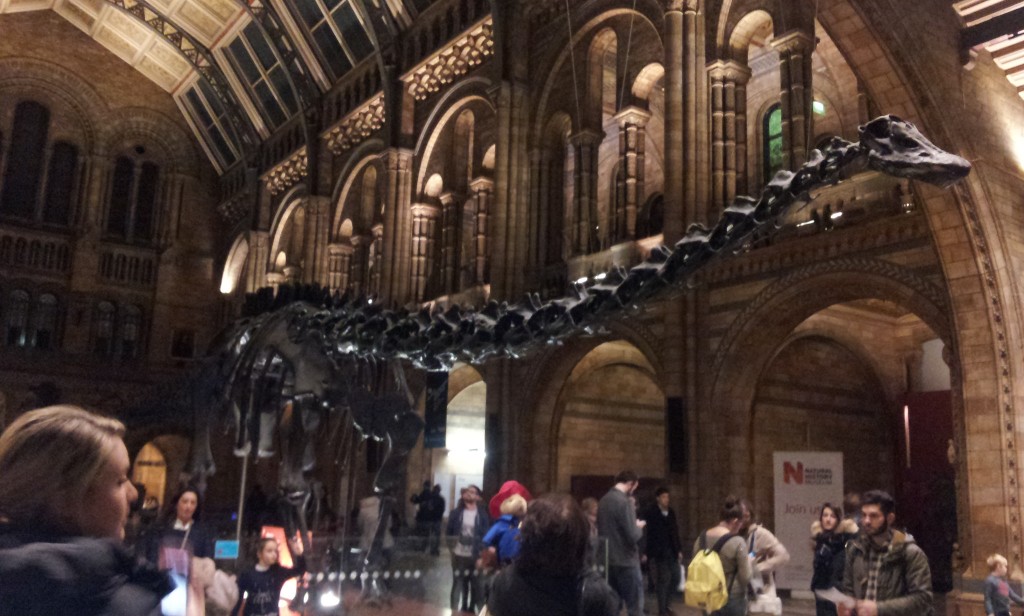 Natural History Museum London