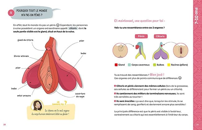 expliquer organes sexuels aux enfants