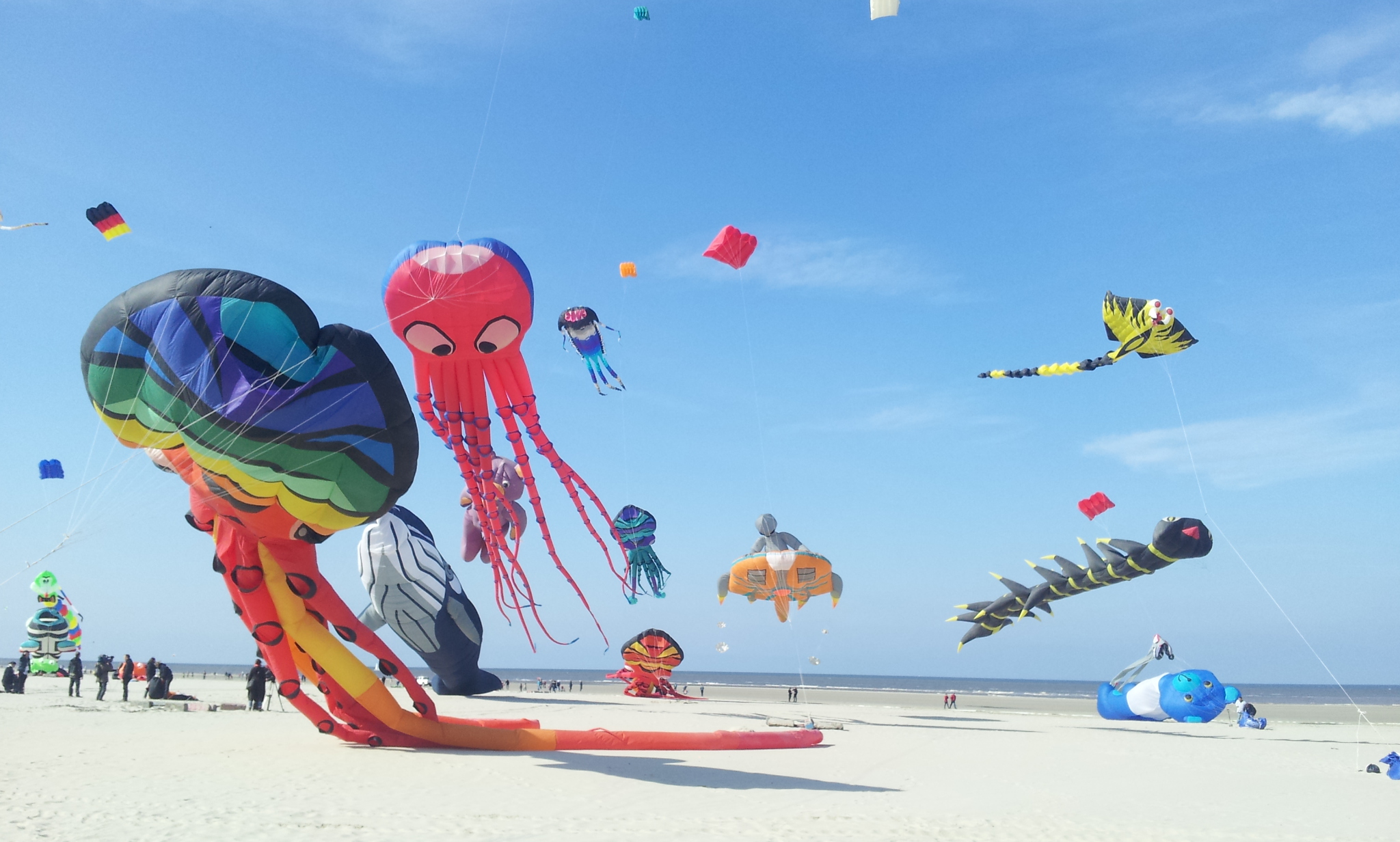 Festival de cerfsvolants de Berck