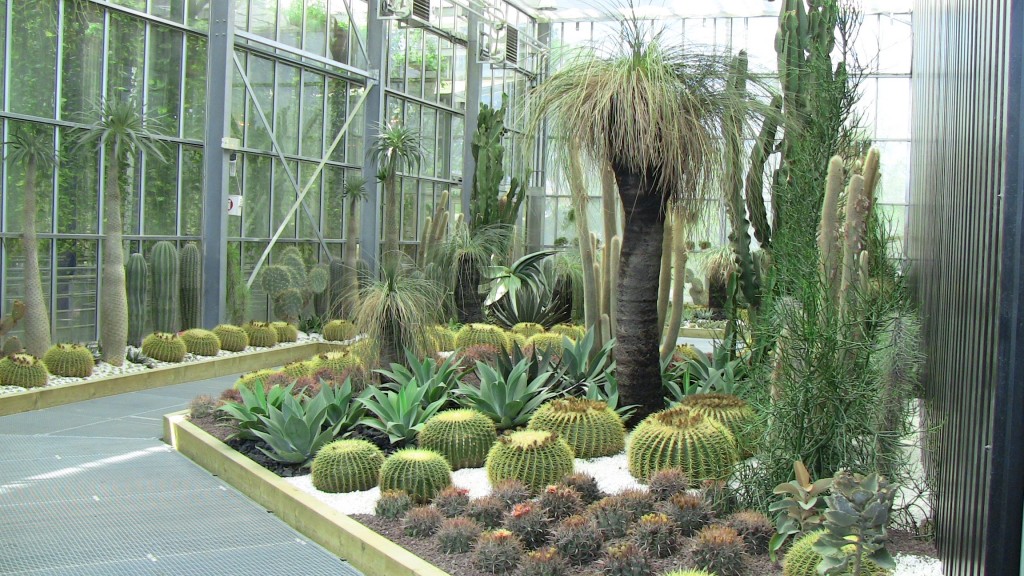 Terra Botanica - Cactus, les plantes de l'extrême