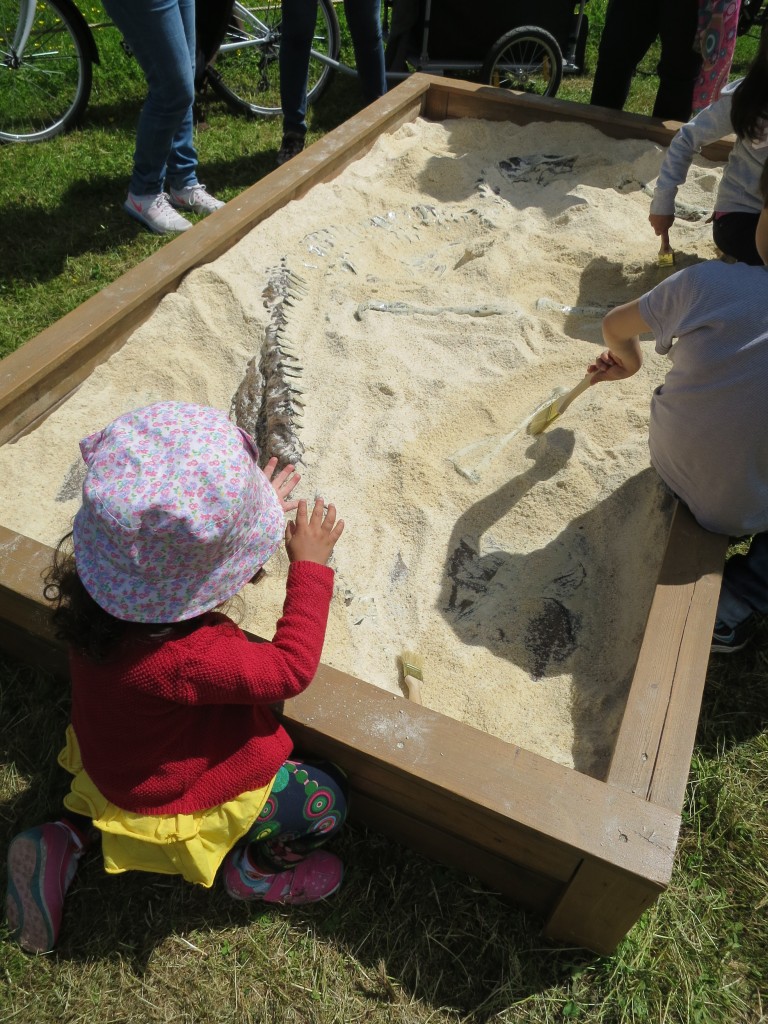 Thoiry - Rechercher des dinos, pourquoi pas ? KFilhoulaud (83)