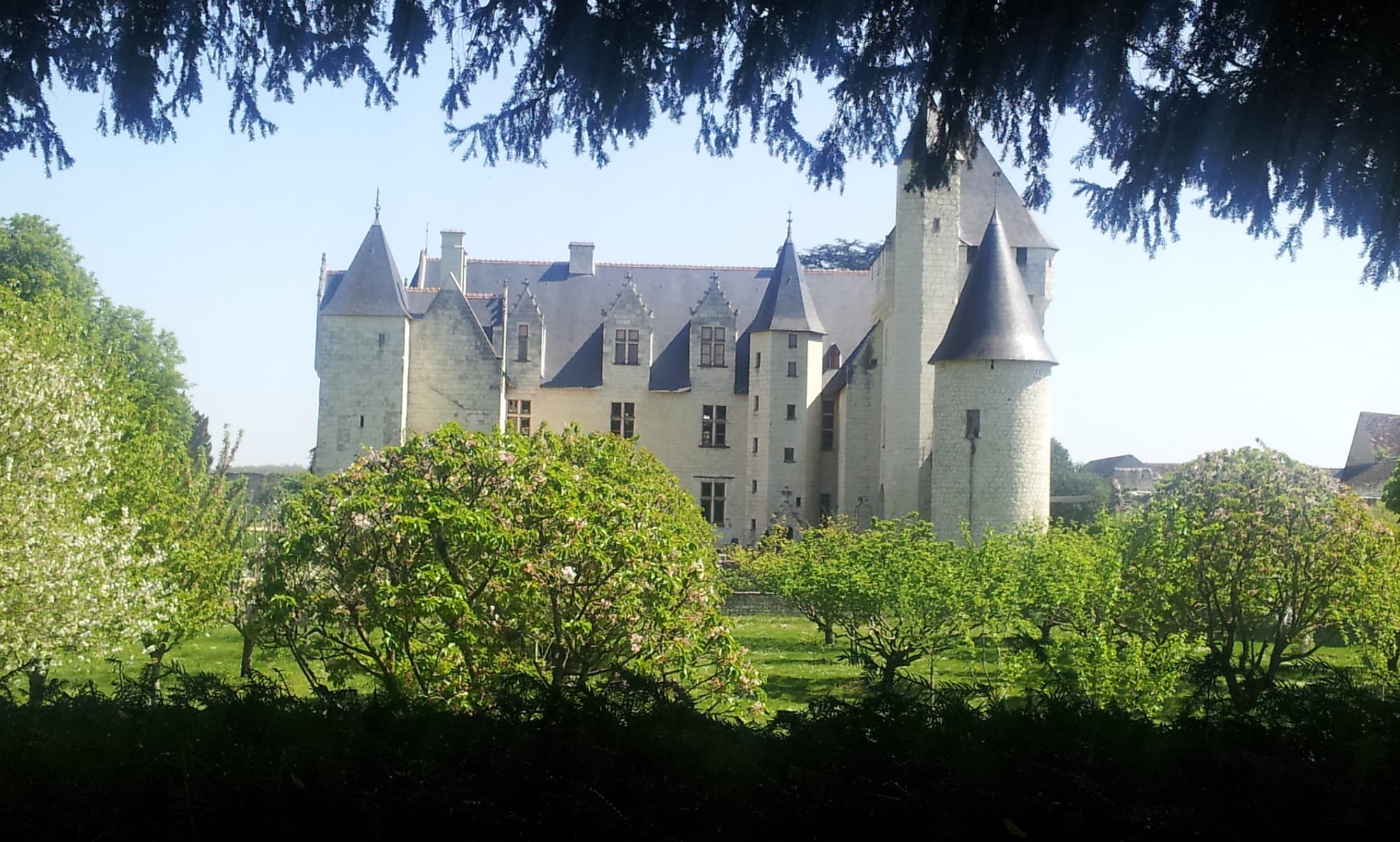 Château du Rivau en Pays de Loire