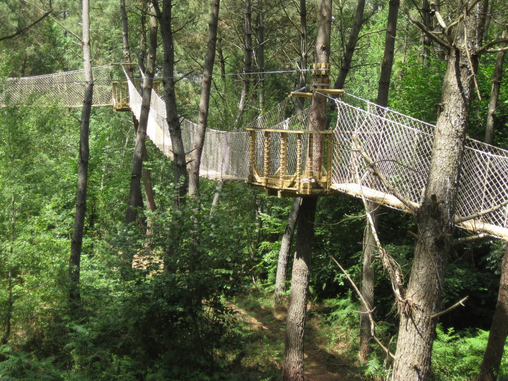 Domaine Bois aux Daims passerelle au-dessus enclos des biches