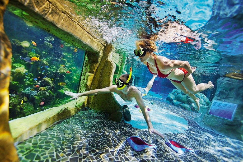 plongée piscine vue aquarium au Domaine du Bois aux Daims