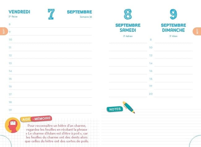 Dans Une Annee Ordinaire Combien De Mois Comportent 28 Jours