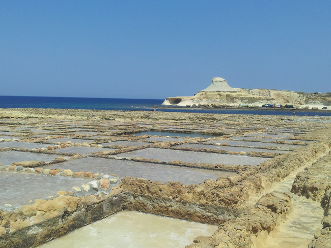 Gozo_Masalforn_salines