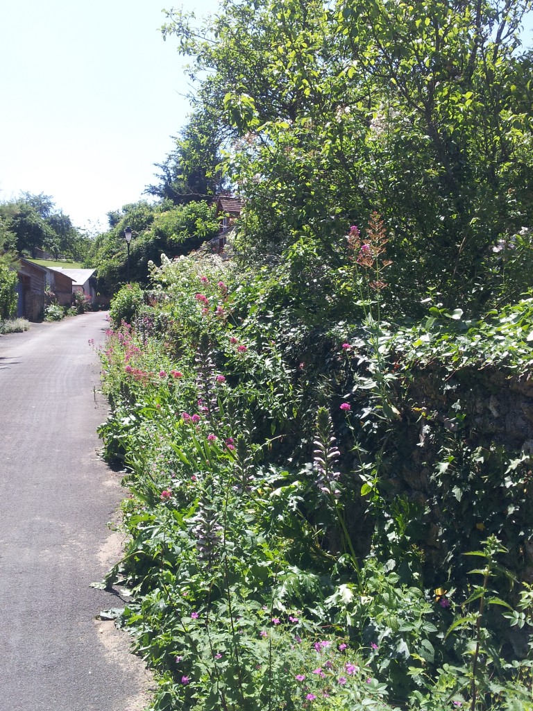 la sarthe à vélo à travers les petites routes de campagne