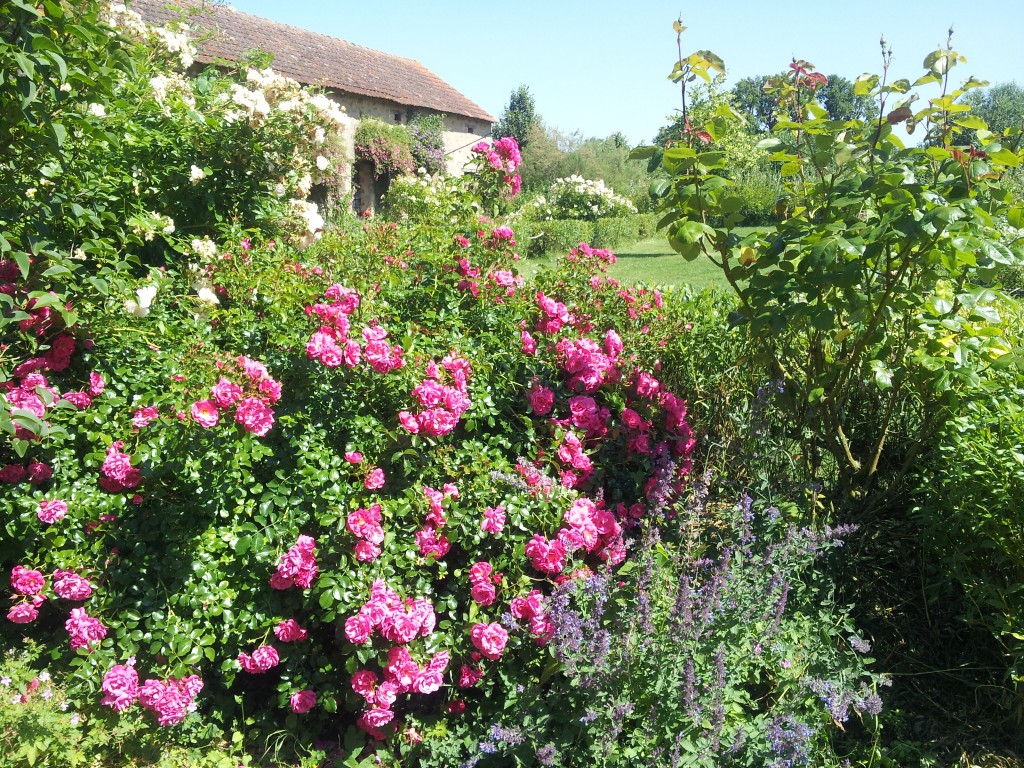 le Jardin Mosaïque d'Asnières-sur-Vègre dans la Sarthe