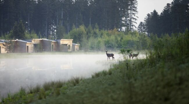 center parcs le bois aux daims avis