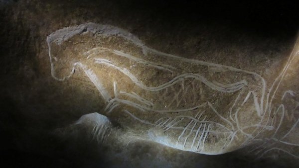 gravure_prehistorique_caverne_pont_d_arc_grotte_chauvet_ardeche