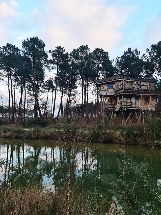 center parcs bois aux daims maison dans les arbres