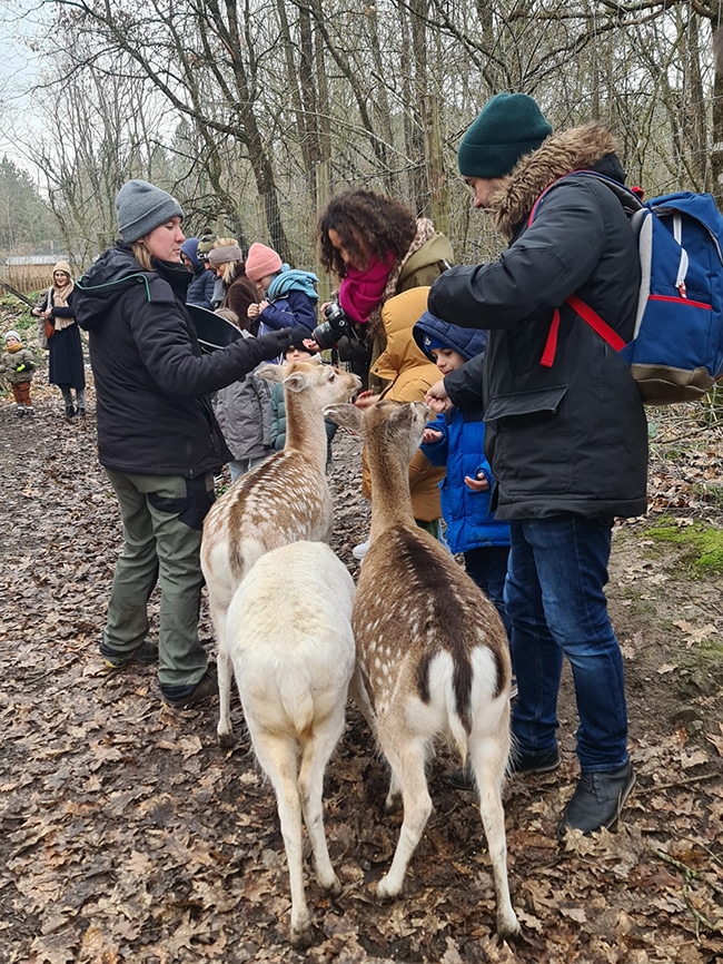 center parcs bois aux daims activités