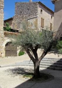 place_de_village_ardeche