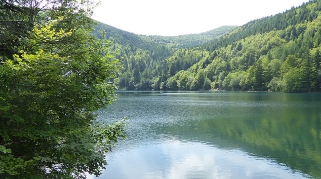 vacances nature dans le Massif des Vosges