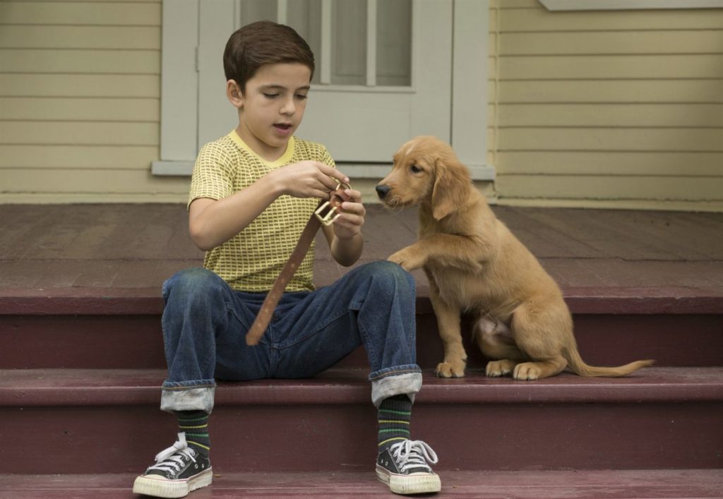 Mes vies de chien, le jeune Ethan joue avec son jeune golden retriever Bailey