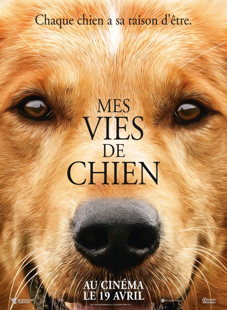 Affiche du film Mes vies de chien, au cinéma à partir du 19 avril 2017