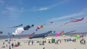 festival international de cerfs volants de Berck sur Mer