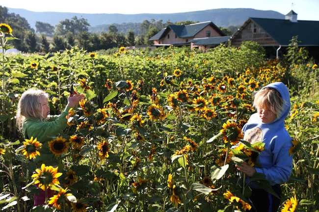 Wwoofing en famille