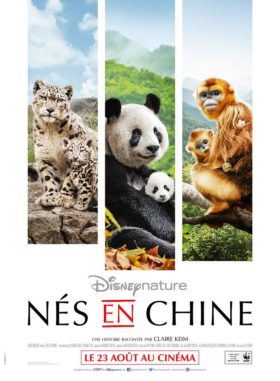 Affiche du film Nés en Chine de Disneynature