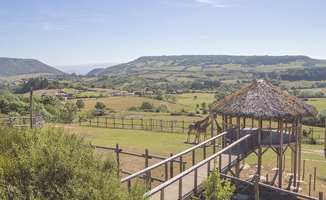 Parc animalier d'auvergne, enclos des girafes