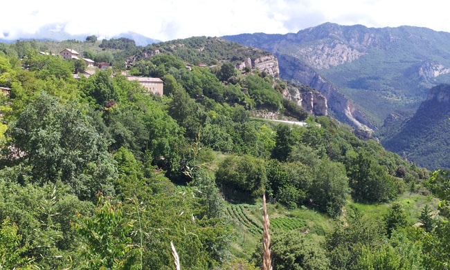 Panorama Pyrénées catalanes