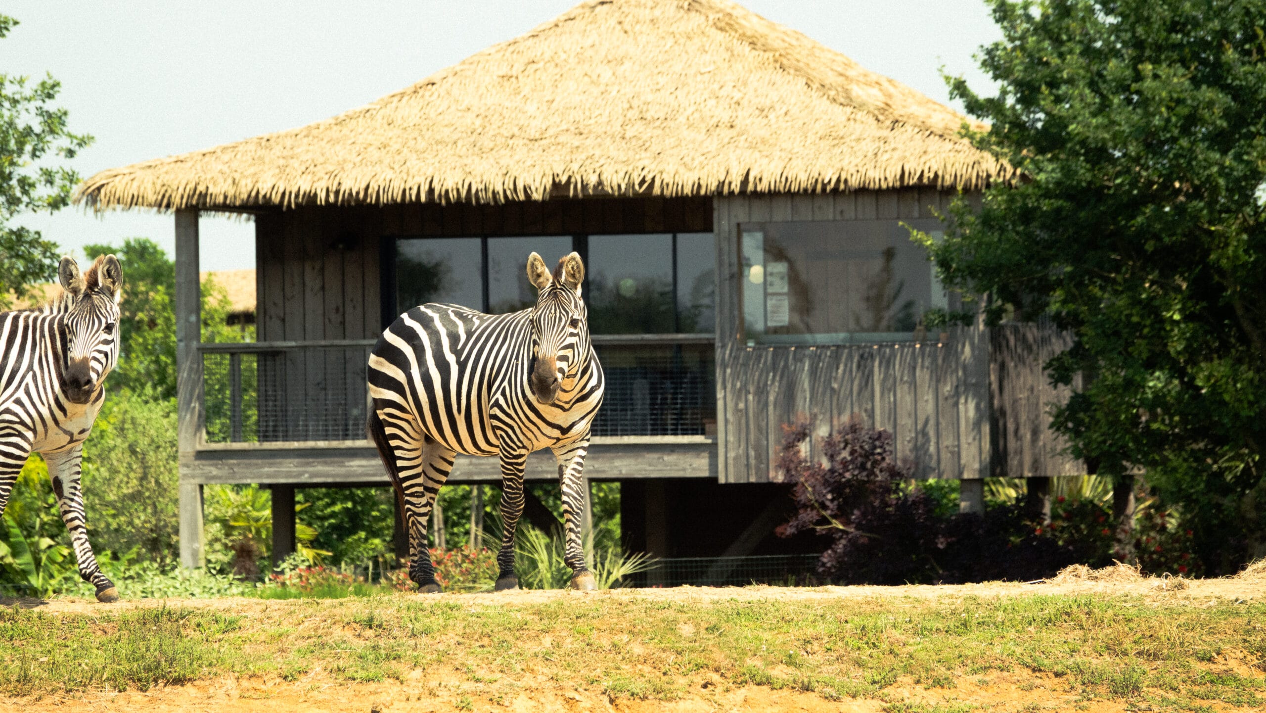 ou se trouve le zoo de la boissiere du dore