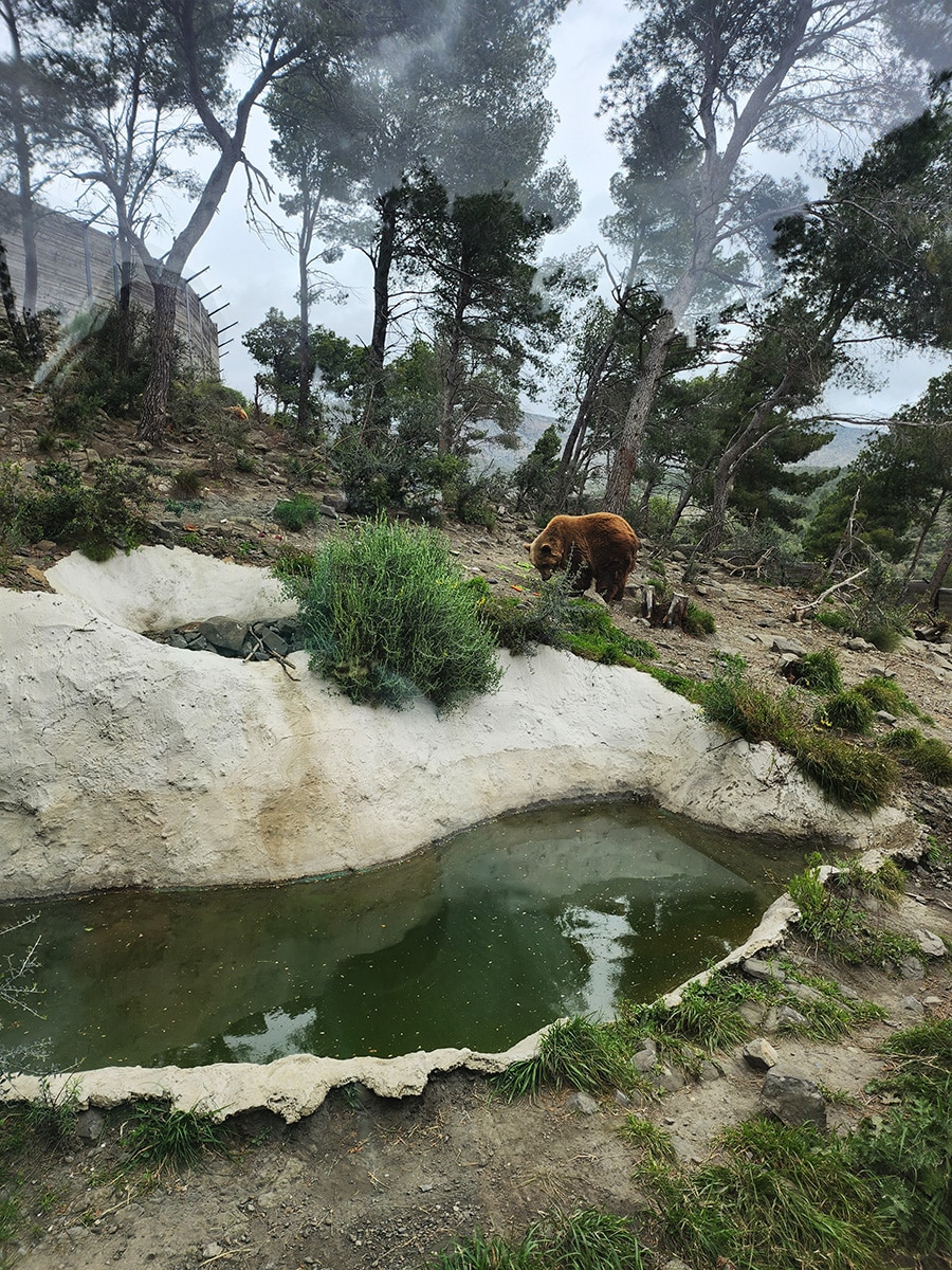 parc animalier pyrénées orientales