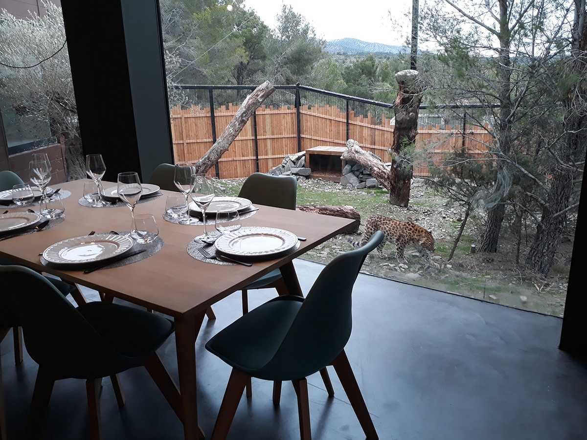 dormir au milieu des animaux sauvages sud France