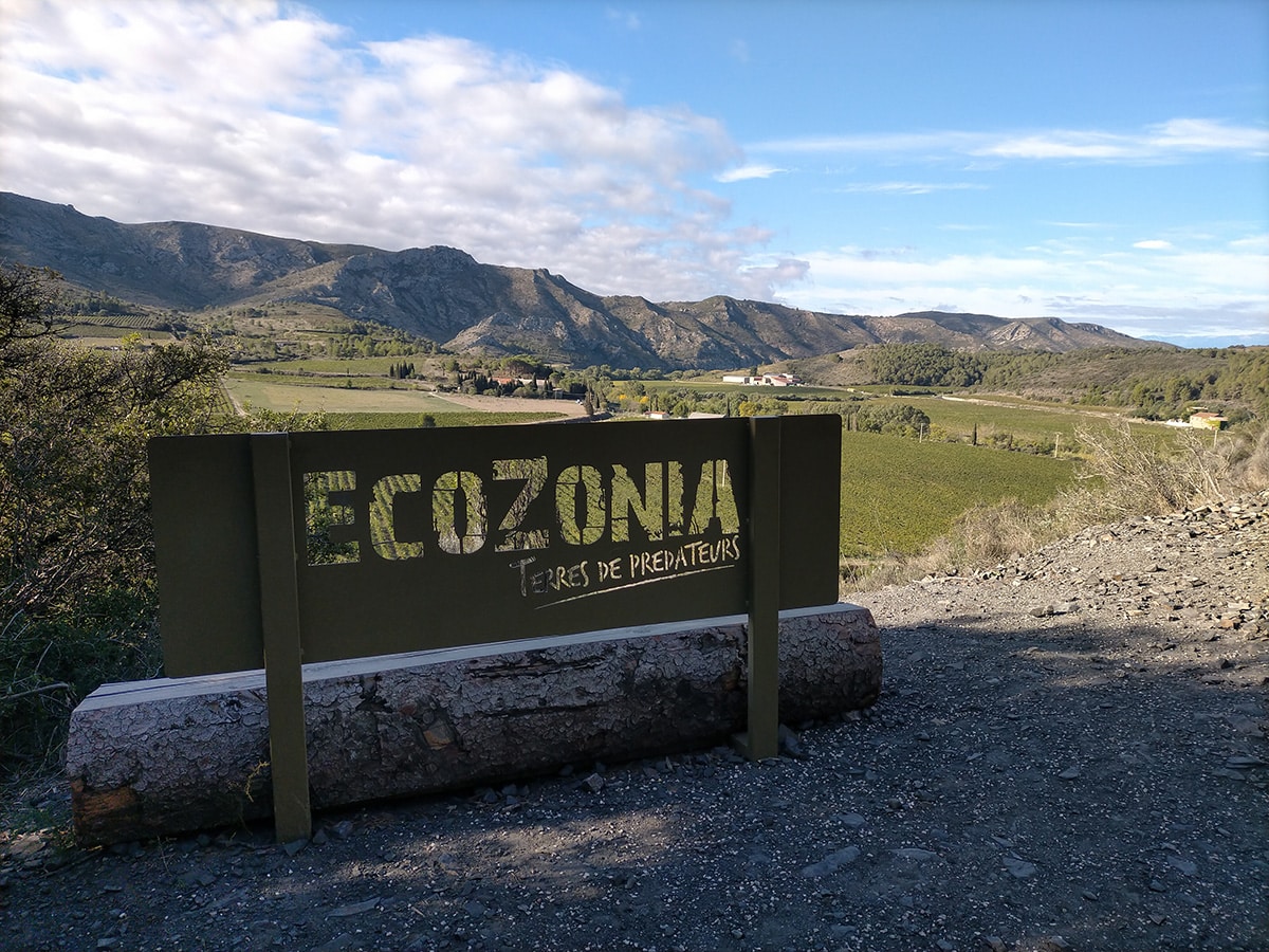 Ecozonia avis