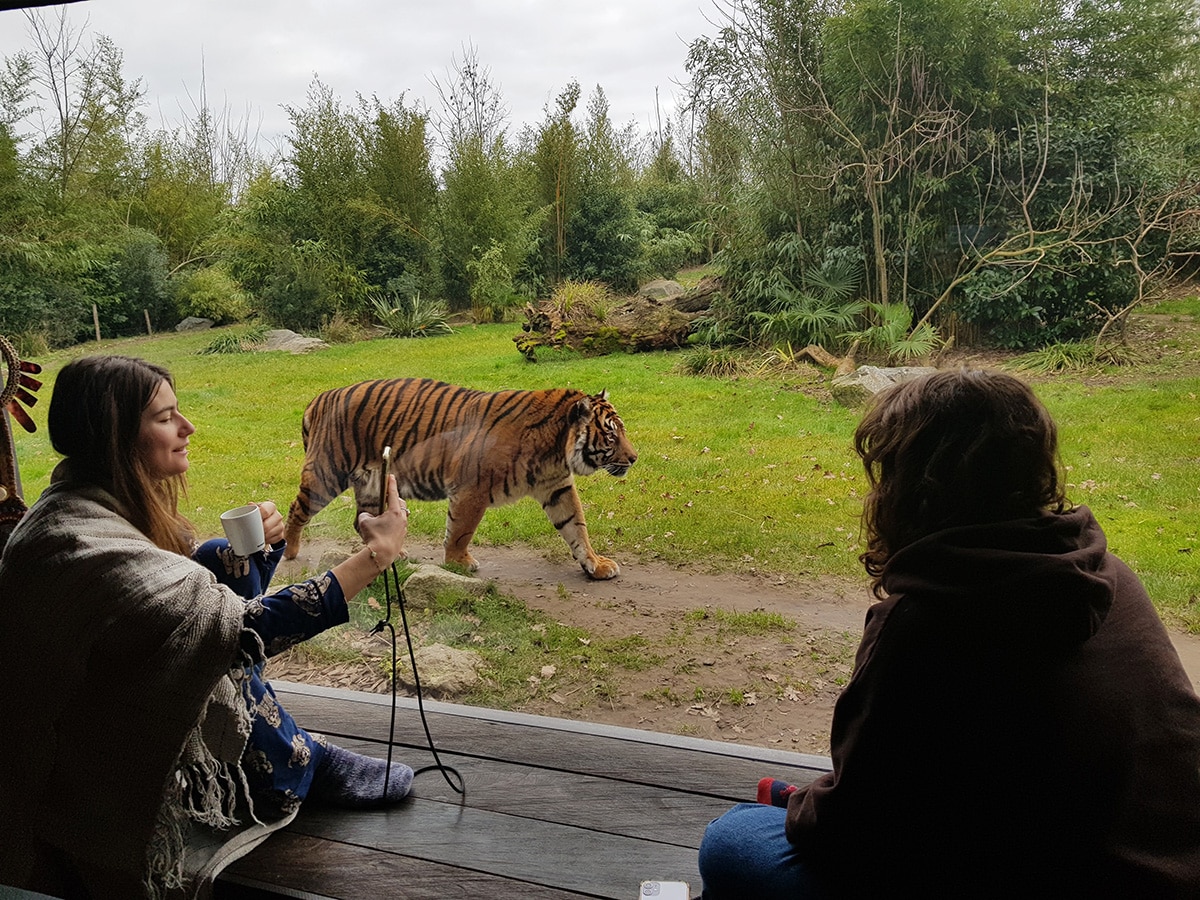 parc animalier lodge vue animaux sauvages ouest de la France