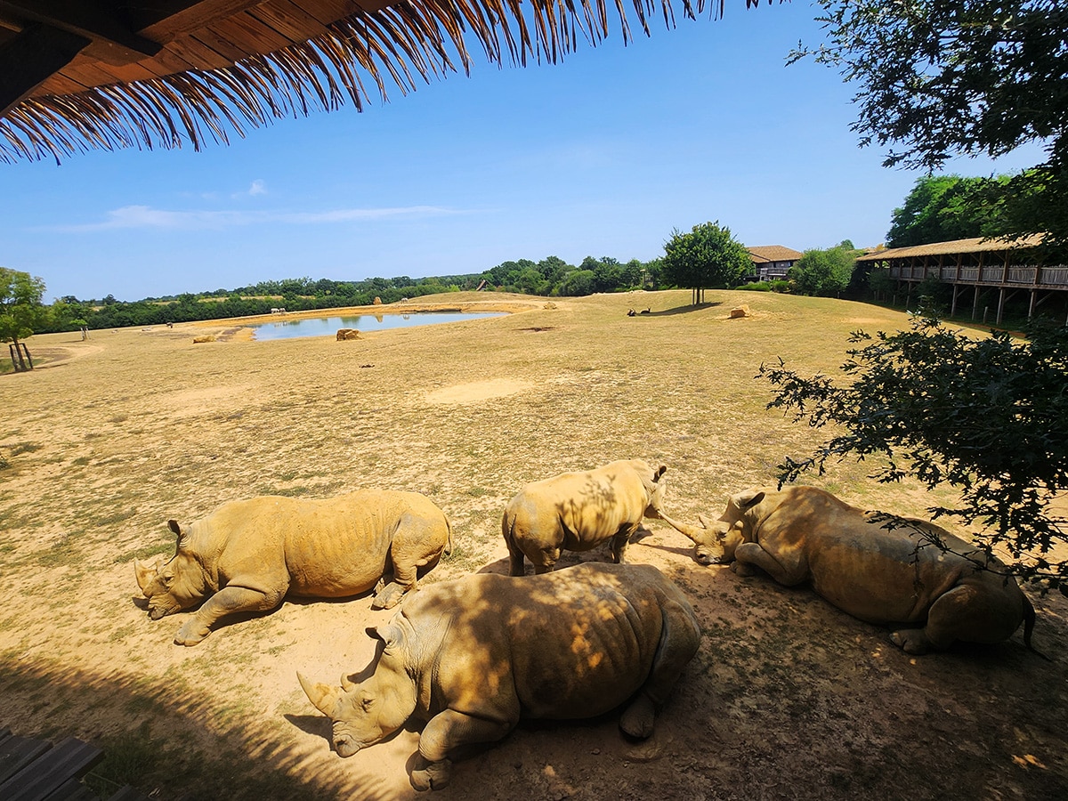 zoo de la boissière du doré lodge avis