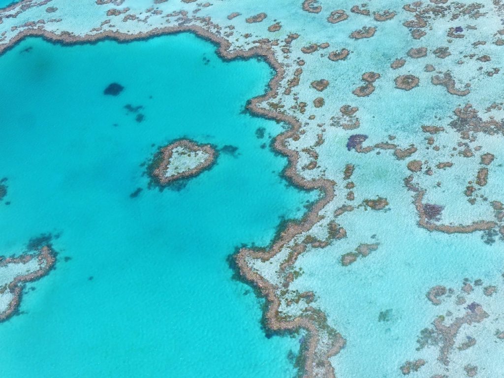la grande barrière de corail en Australie