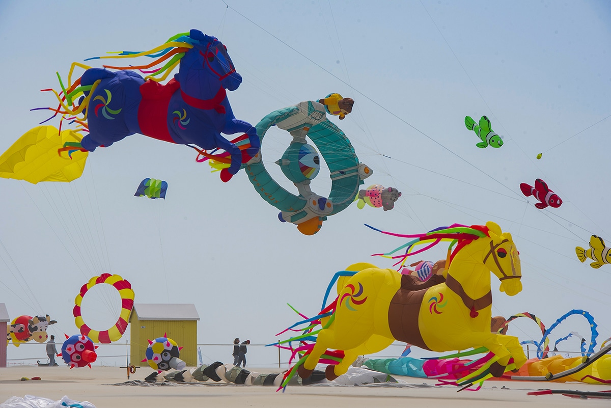 hotel berck pendant festival cerfs-volants