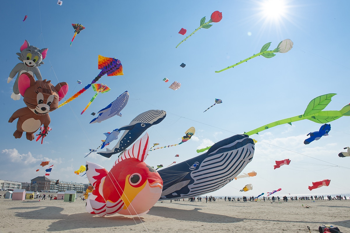 cerf-volant 2025 berck programme