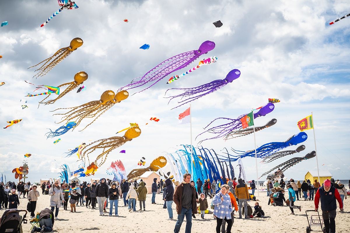 programme cerf-volant Berck 2025