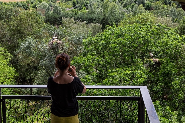 Le parc des oiseaux vue depuis tour panoramique