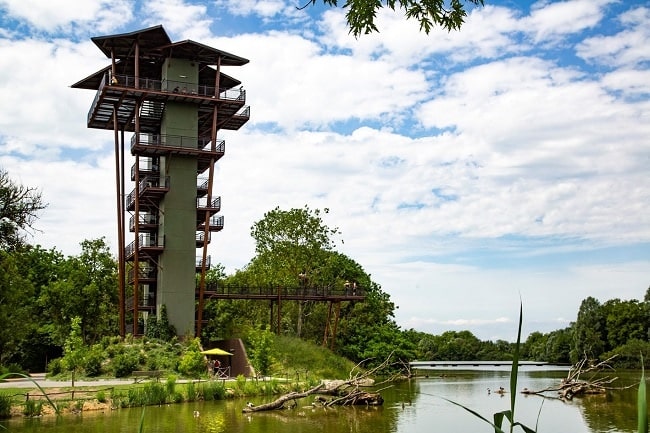 Le parc des oiseaux tour panoramique 