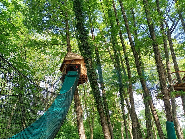 parcours dans les arbres autour d'annecy