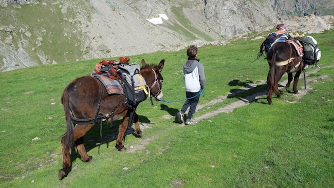 rando en ane en famille oisans été