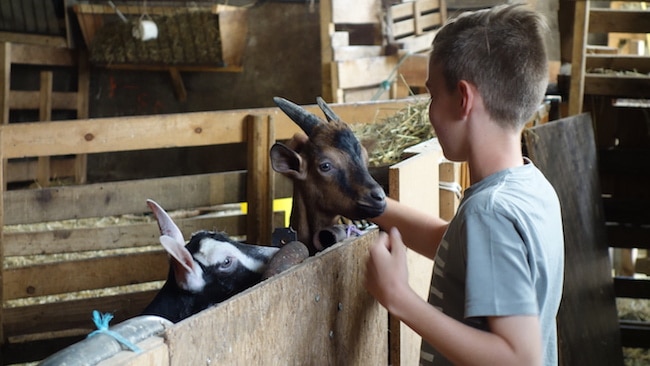 ferme des molières oisans