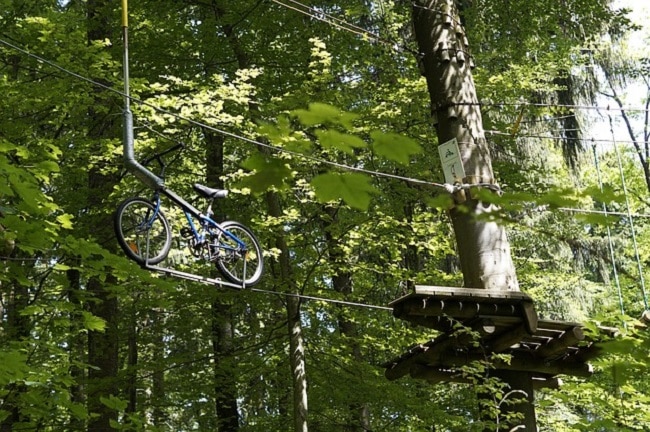 Activité nature avec enfant