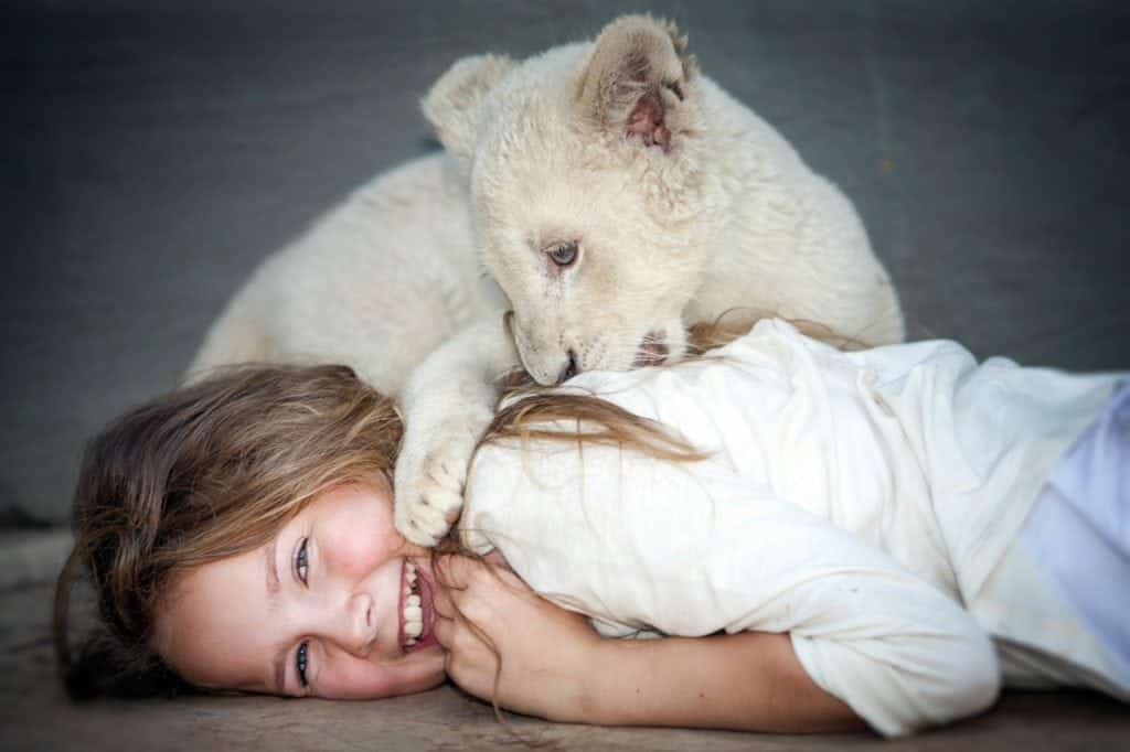 Avec Mia et le lion blanc, le documentariste Gilles de Maistre s’offre une nouvelle incursion dans la fiction avec une étonnante histoire d’amitié, malheureusement un peu caricaturale, entre une pré-adolescente et un animal féroce. Au cinéma le 26 décembre.