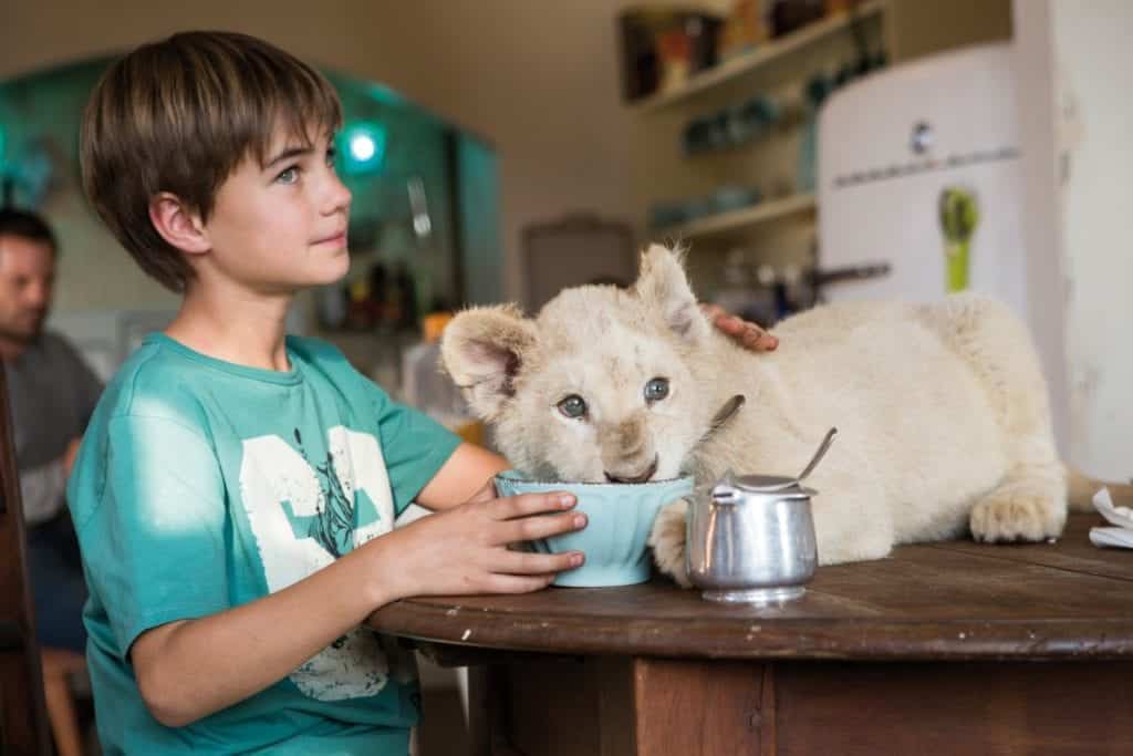 Avec Mia et le lion blanc, le documentariste Gilles de Maistre s’offre une nouvelle incursion dans la fiction avec une étonnante histoire d’amitié, malheureusement un peu caricaturale, entre une pré-adolescente et un animal féroce. Au cinéma le 26 décembre.