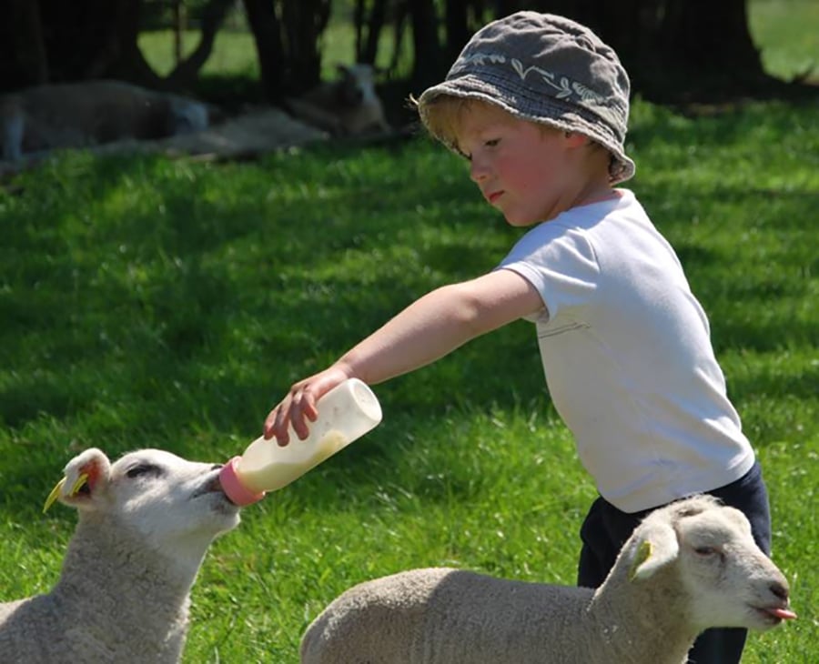 week-end a la ferme dans l'aisne