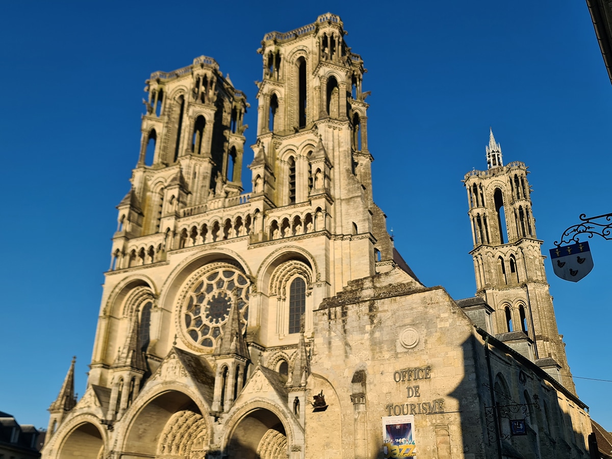 cathédrale de laon boeufs