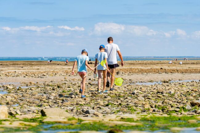 meilleur coin de pêche à pied ile d'oléron